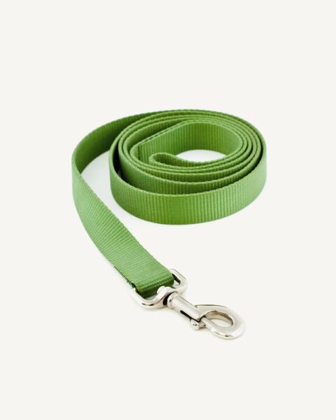 Green Leash
