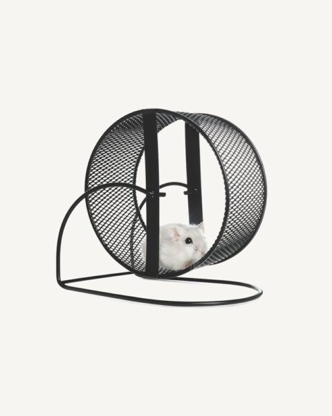 Hamster Wheel